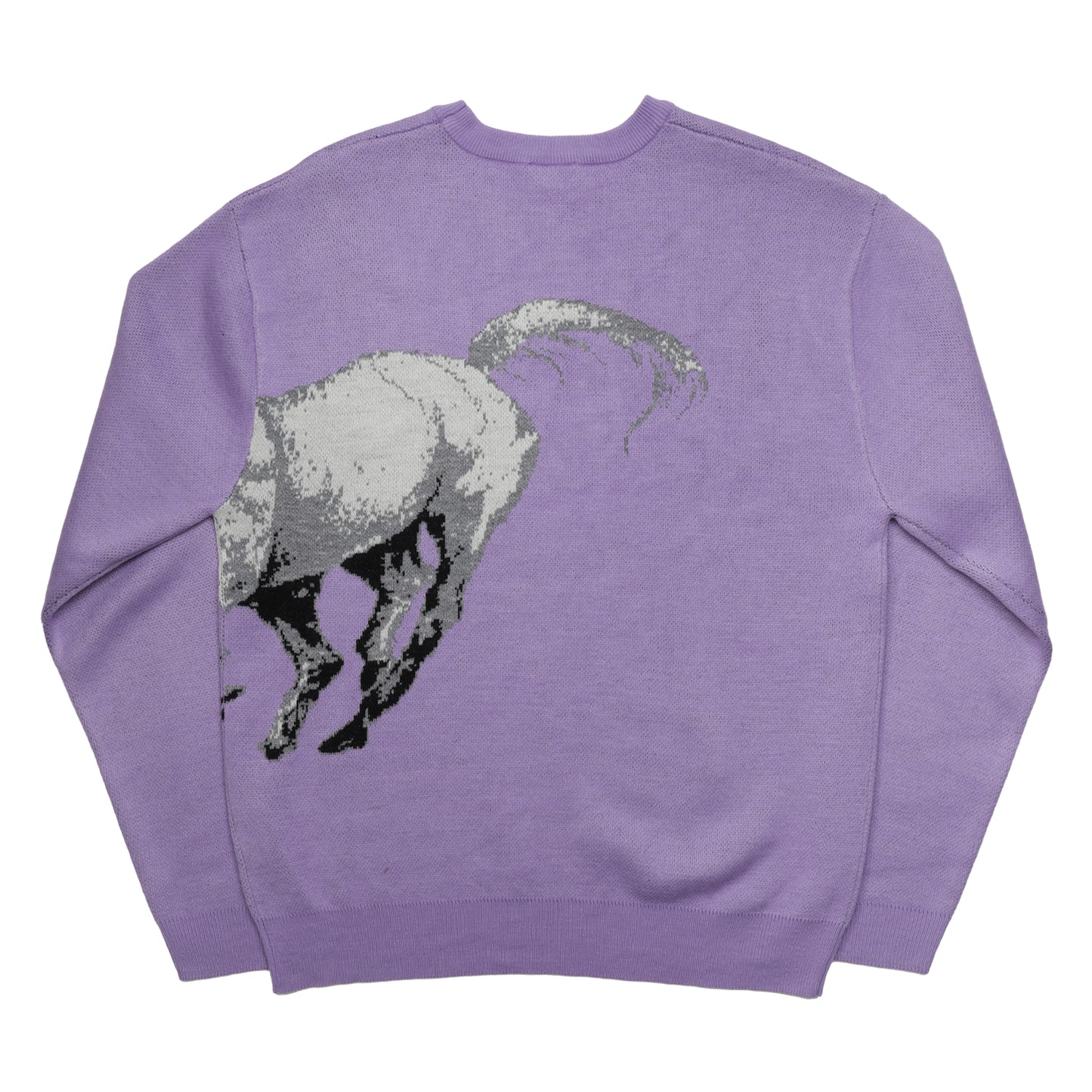 Brumbies Sweater, Lavender