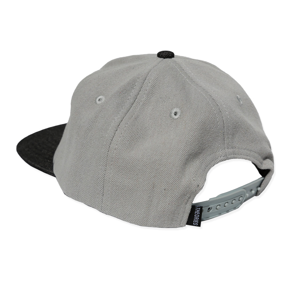 Paranormal Snapback, Grey