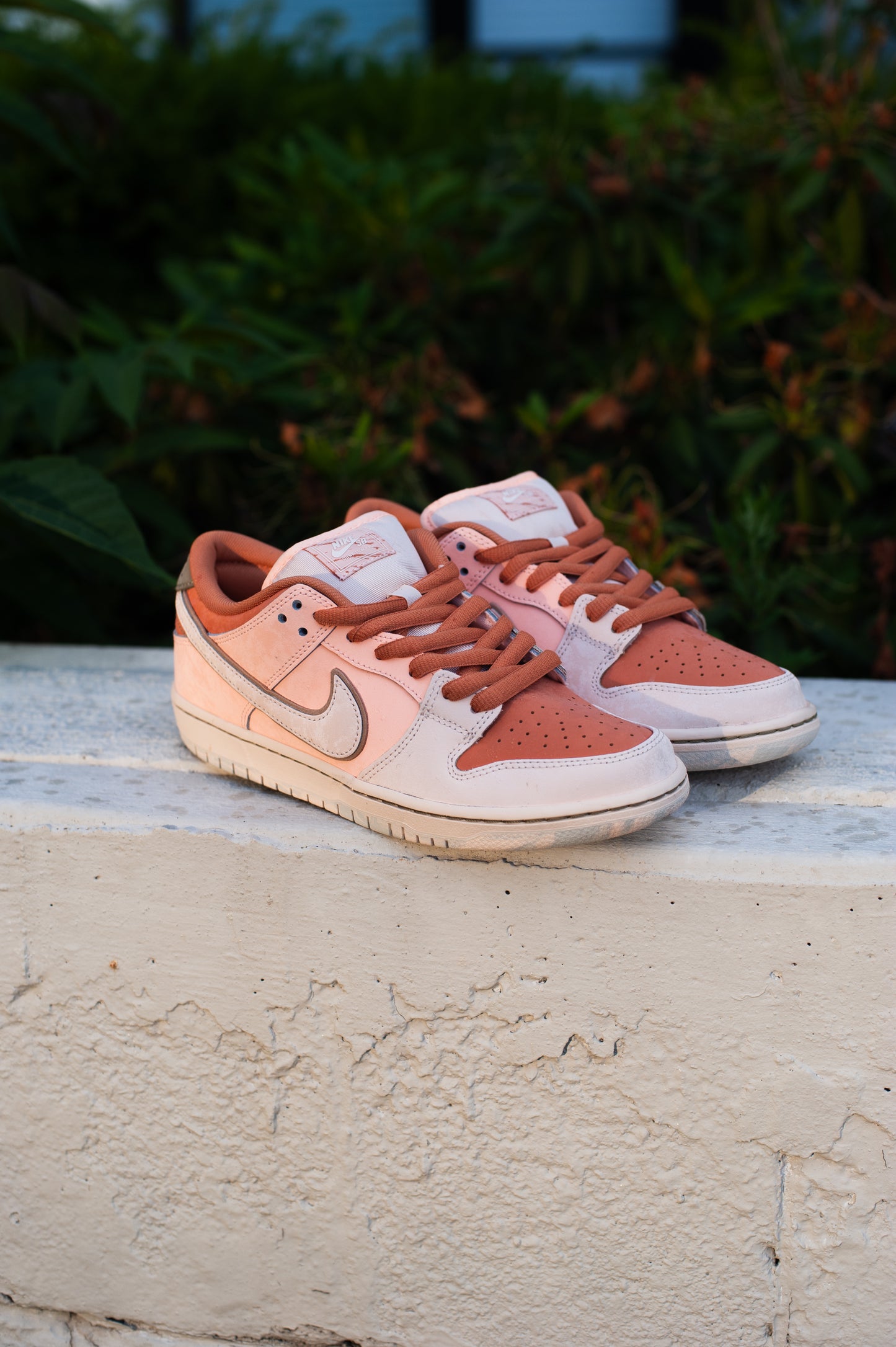 Dunk Low Pro PRM, Amber Brown