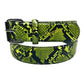 Slither Belt, Lime